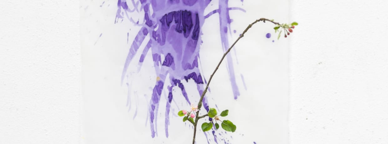 Von der Blüte zur Schrift