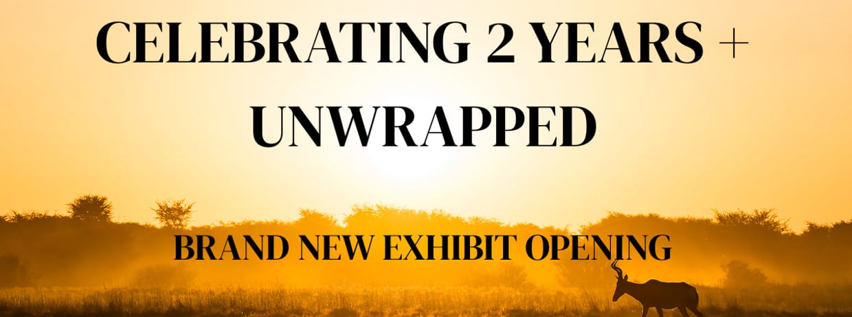 2 Year Celebration + UNWRAPPED with Andy McIntosh