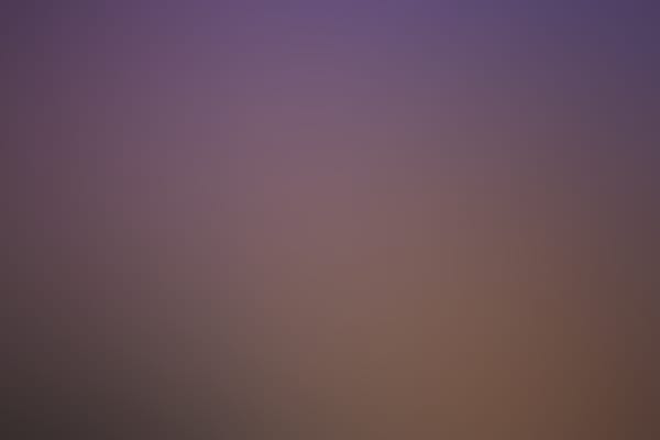 Blues Point, North Sydney NYE 2025
