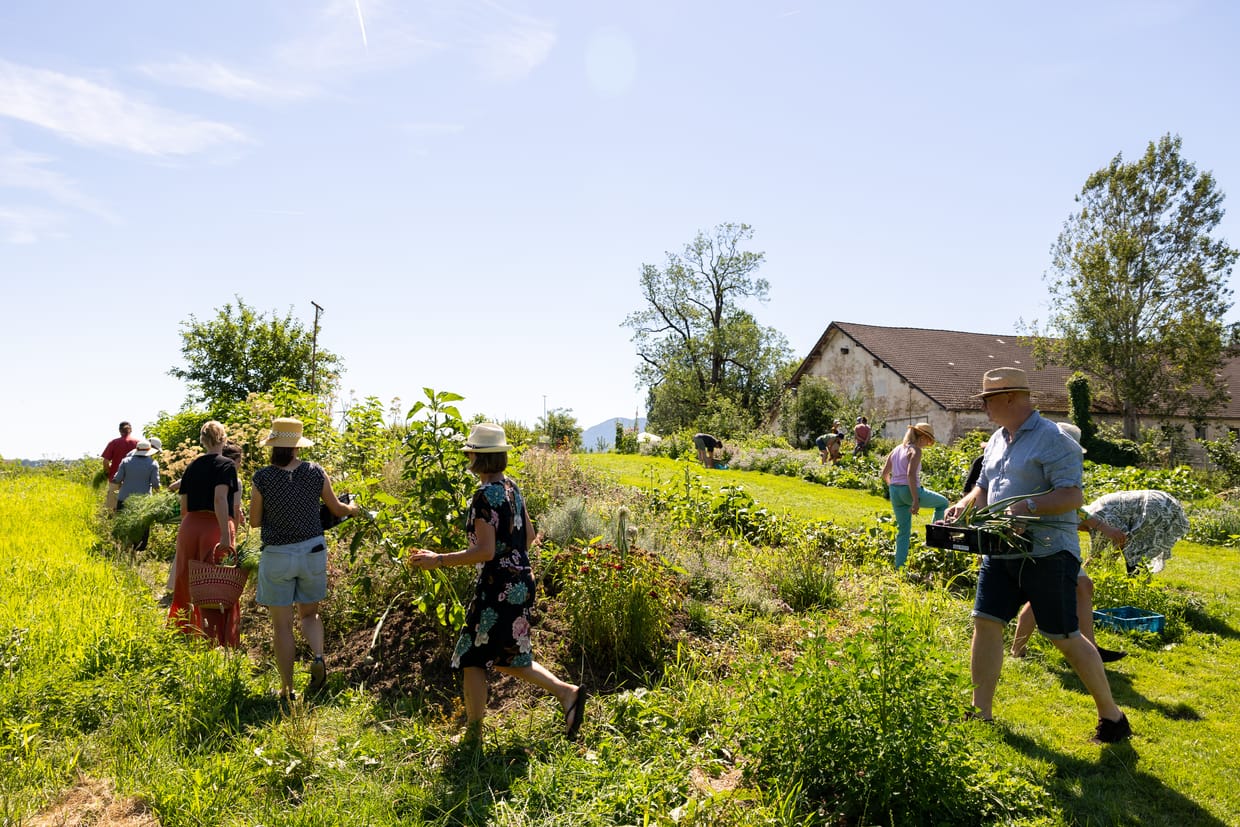 Essbare Landschaften