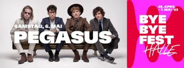 Pegasus