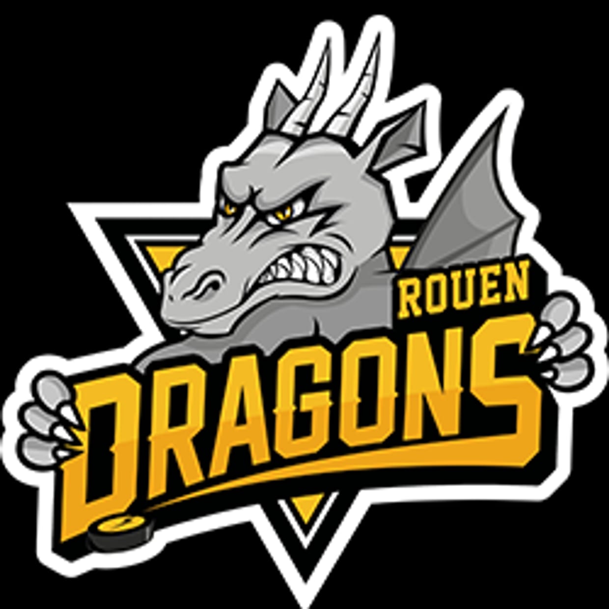 Journée 10 - vs Rouen - 16/10/26 - 20h15