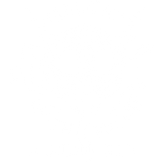 Mad Cat Mothership