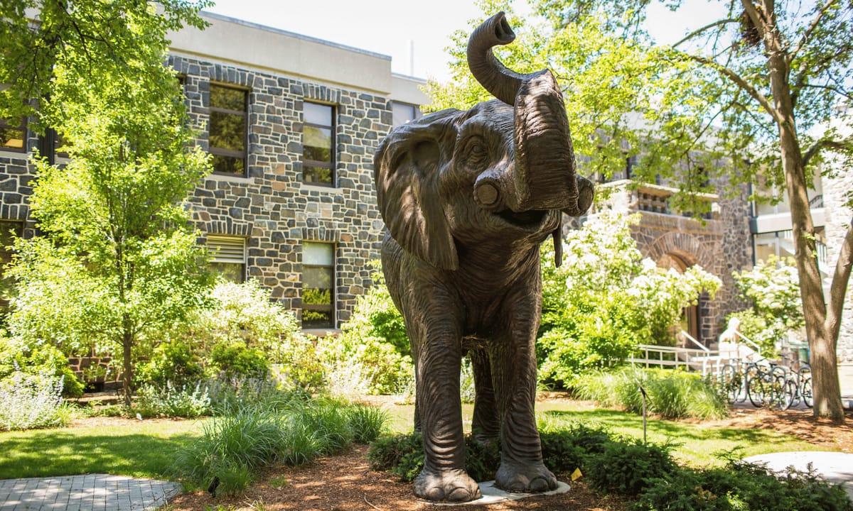 Tufts University - Office for Campus Life