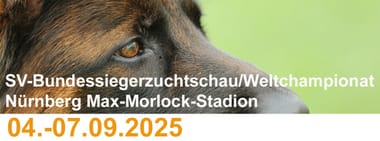 BSZ 2025 - Parkplätze und Eintrittskarten