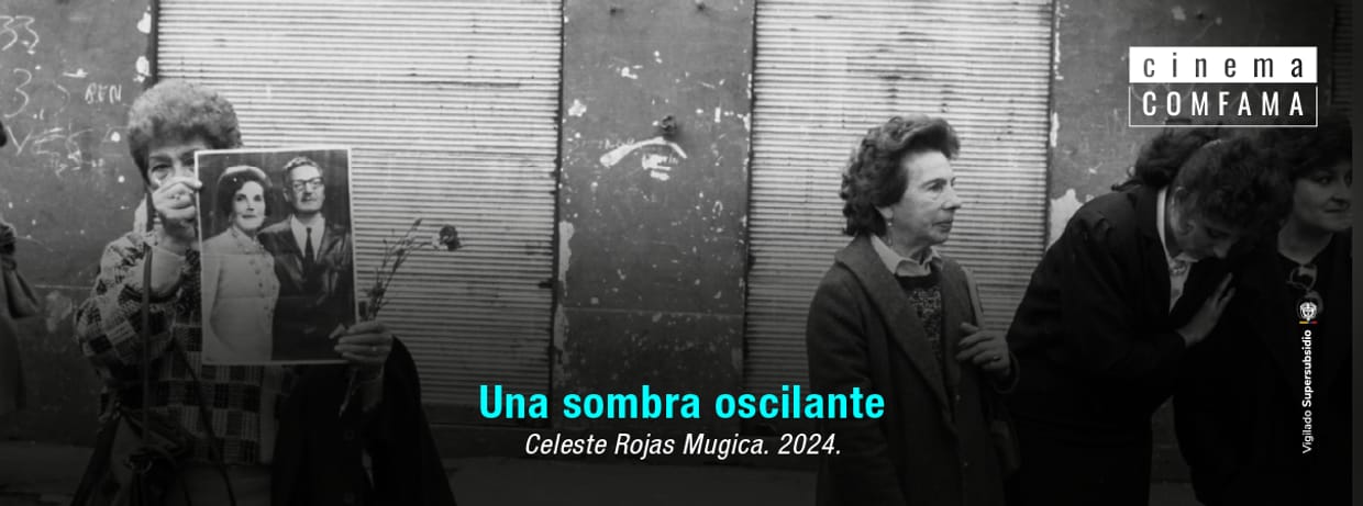 Una sombra oscilante
