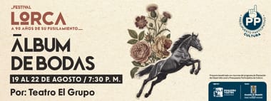 ÁLBUM DE BODAS