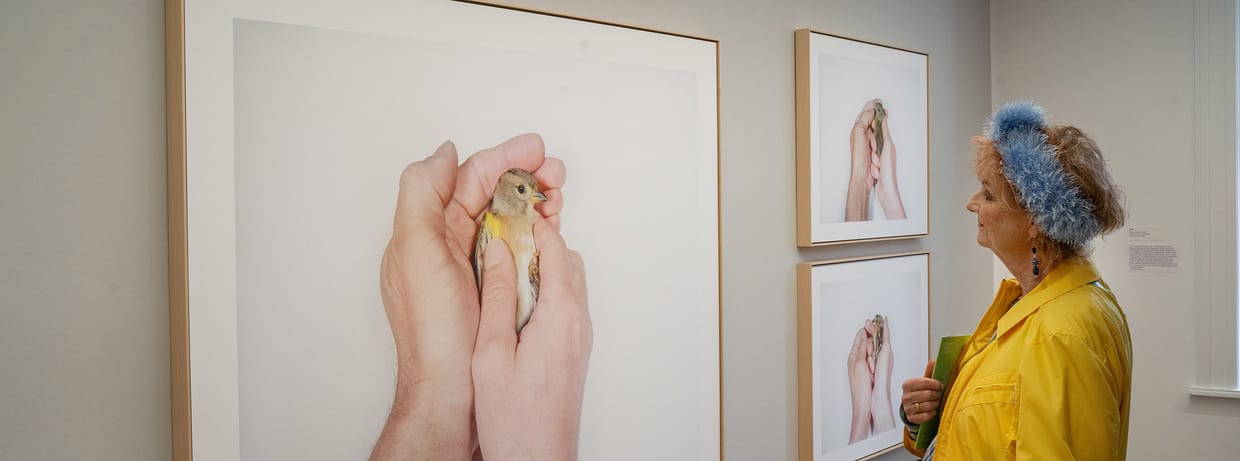 Führung am Sonntag - Tierstimmen