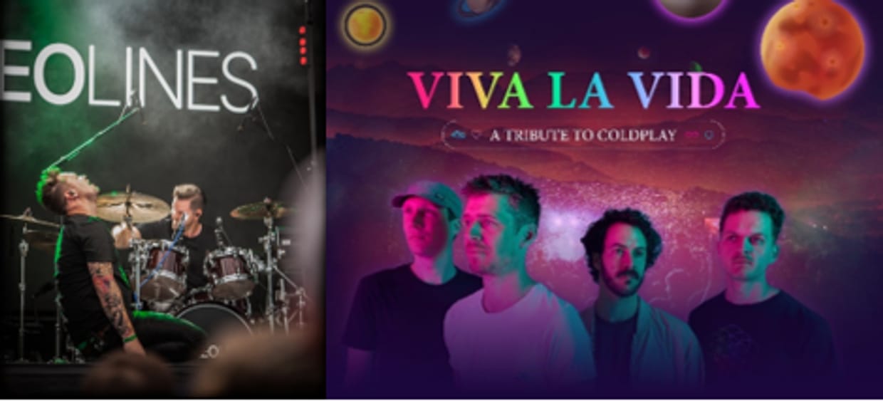 The Stereolines/Viva La Vida