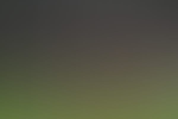 (Pokal) RW Essen
