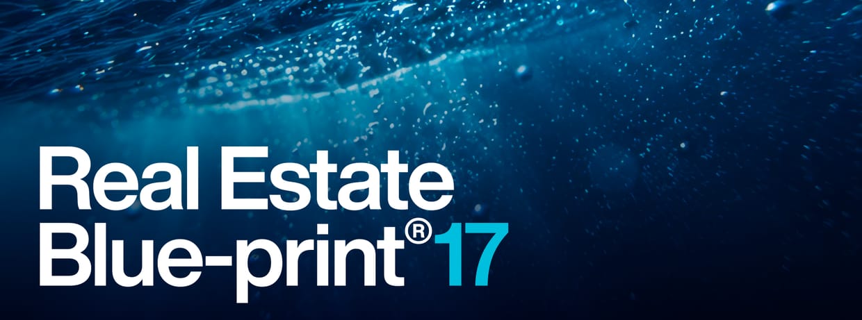Real Estate Blue-print®17 Virtual