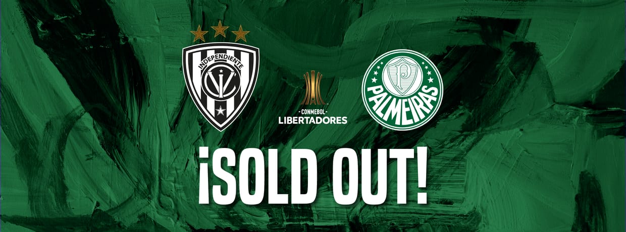 HINCHADA LOCAL (IDV vs PALMEIRAS)