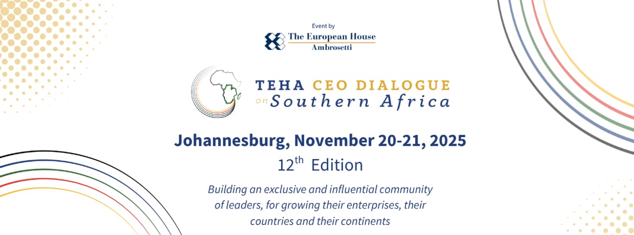 12th TEHA CEO Dialogue on Southern Africa