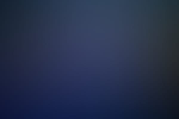 Brite Winter 2025
