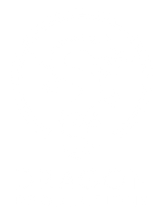 DRAGON PRODUCTIONS