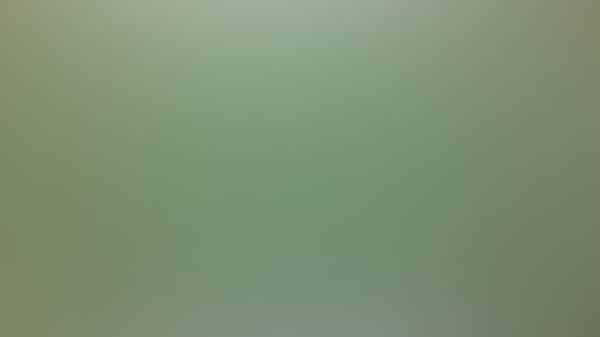 2026 Lamar Football Season Tickets