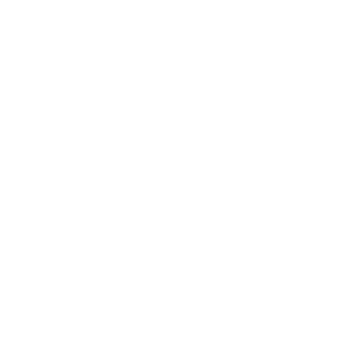 Heimspiele Damen