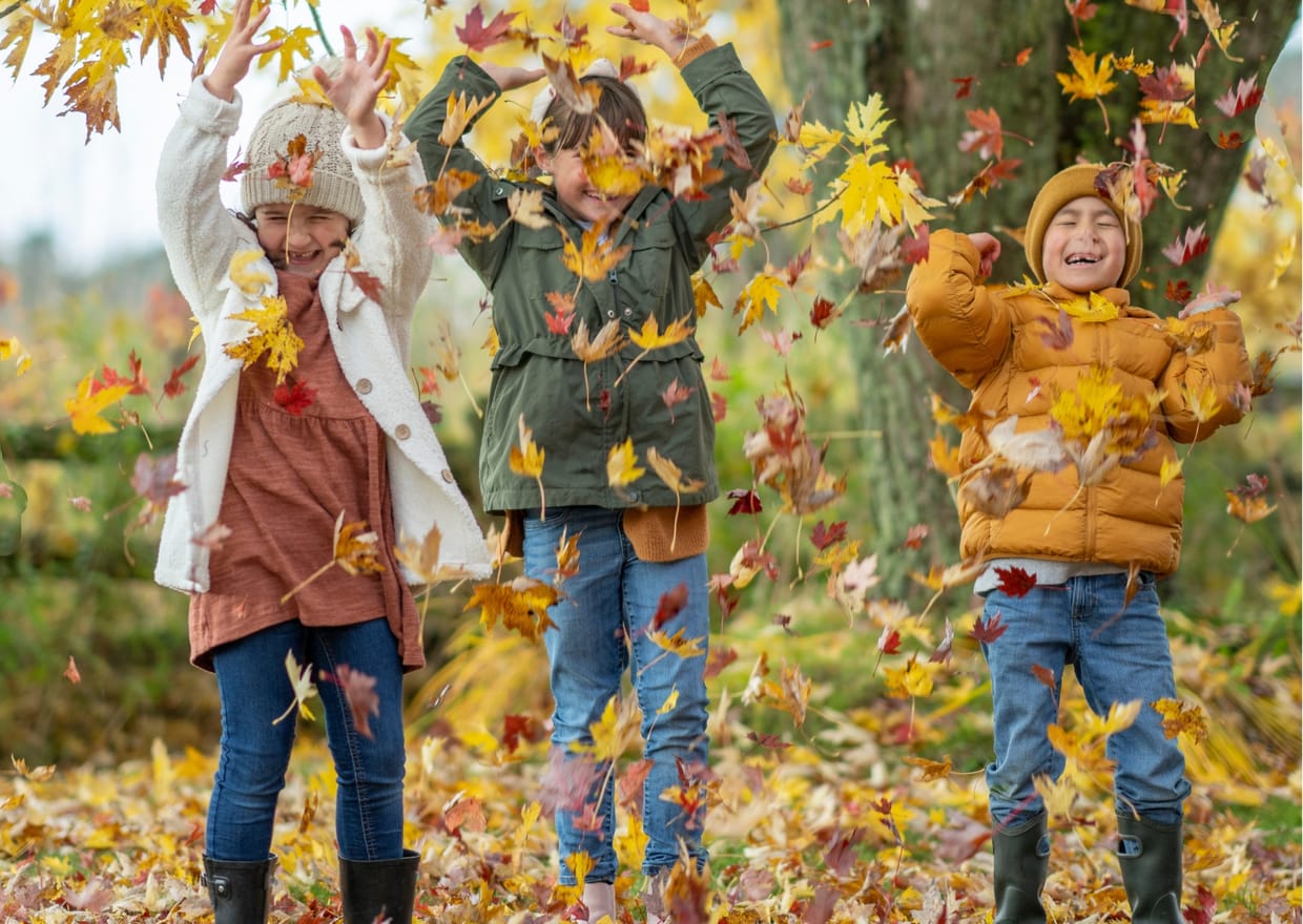 Familien-Forschertag im Küchengarten – Rund um den Herbst