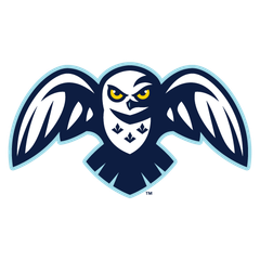 Toundra de Montréal - GROUPE DE BASKETBALL DE MONTREAL INC.
