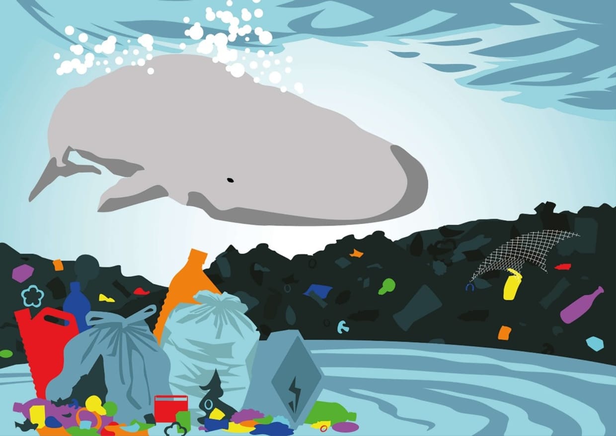 Kindertheater: Wer? Wie? Was? Wo? Wal? Warum?