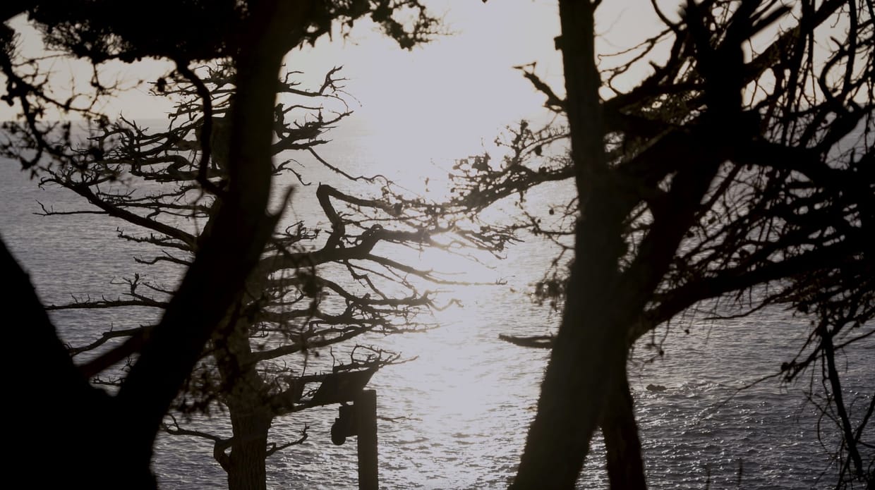Place as Narrative: Film, Video, and New Media Art with Leena Kim