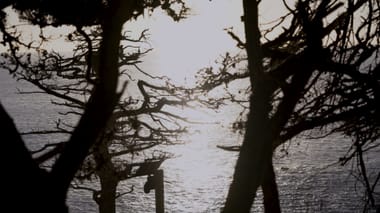 Place as Narrative: Film, Video, and New Media Art with Leena Kim