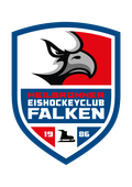 Heilbronner Eishockeyclub Falken