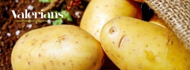 Verpflegungsticket Herbstferien