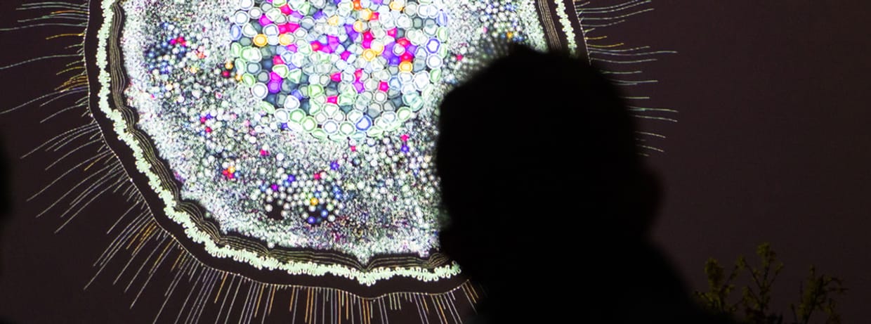Art & Science Festival: Cell Melodies