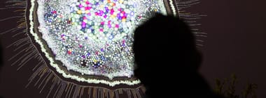 Art & Science Festival: Cell Melodies