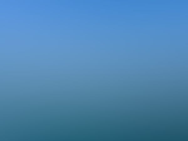 Geneva Guide