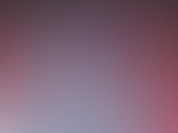 Adam Weiner aka Low Cut Connie: Solo Performance "Livin' in the USA"
