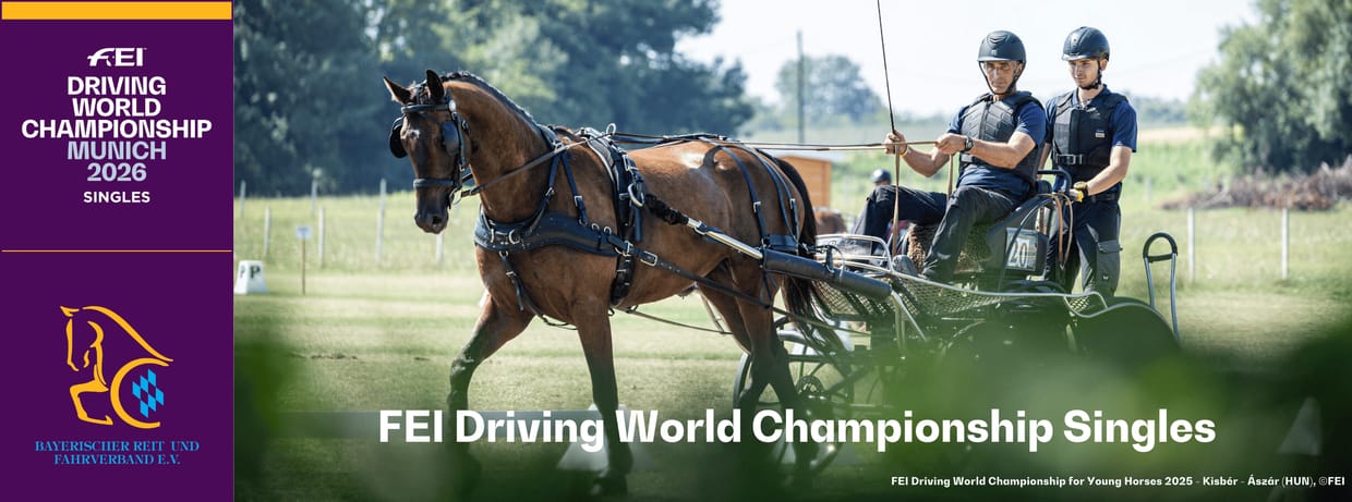 FEI Driving World Championship Singles
