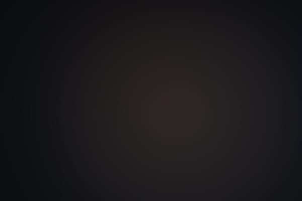 DIE WELT