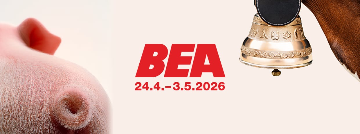 BEA 2026 – Black Friday Angebot