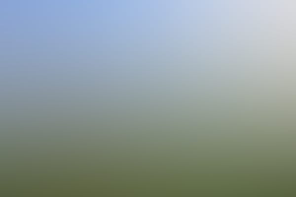 Spakenburg - IJsselmeervogels