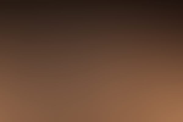Dallas Morse Coors Concert Series: Orpheus Chamber Orchestra with James Ehnes, violin