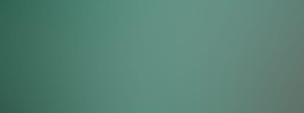 Stetson Football Season Ticket