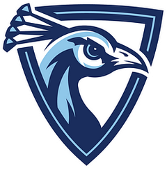 Upper Iowa University