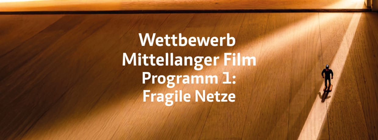 Wettbewerb Mittellang - Programm 1: FRAGILE NETZE