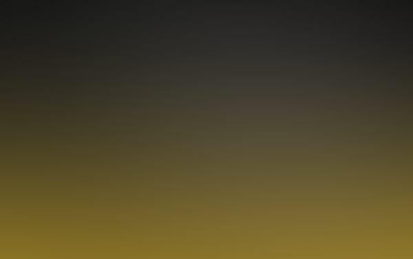 Dauerkarten Season 2025 // Pre-Sale