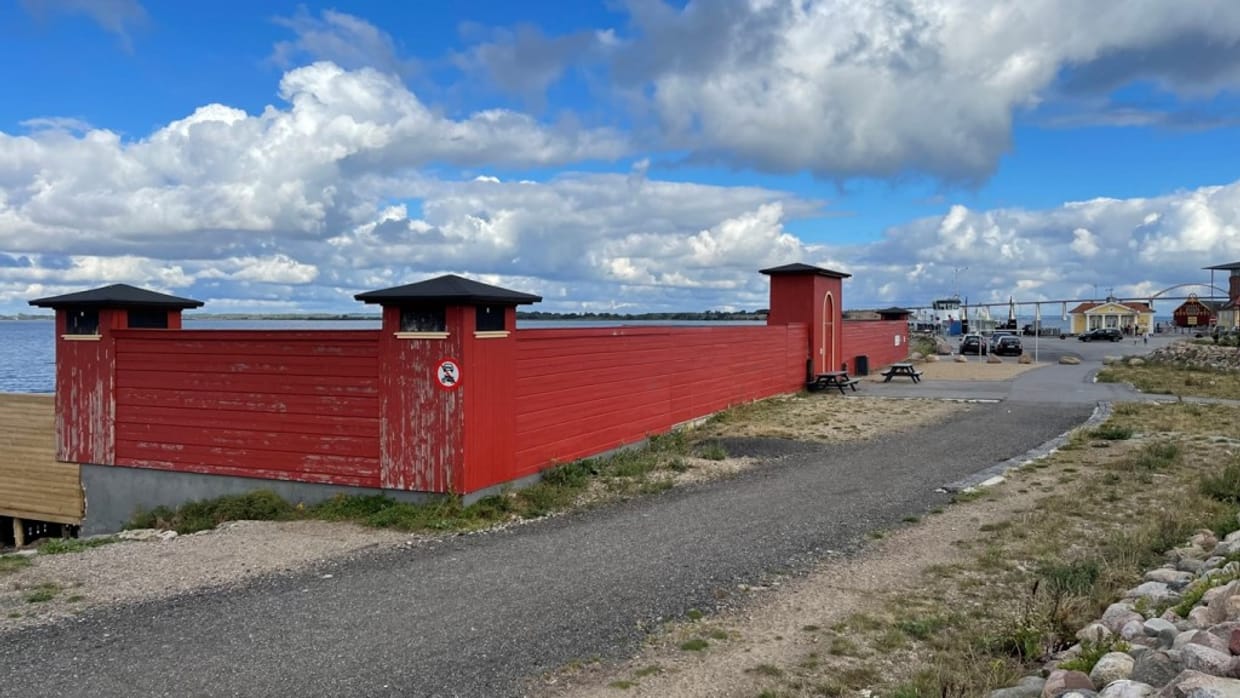 AFLYST: Workshop 2: bliv klogere på koldvandssvømning - med sauna