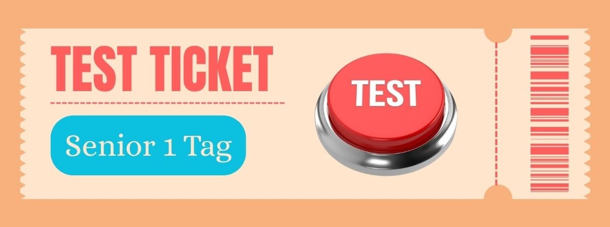 Test Ticket (Senior 1 Tag)