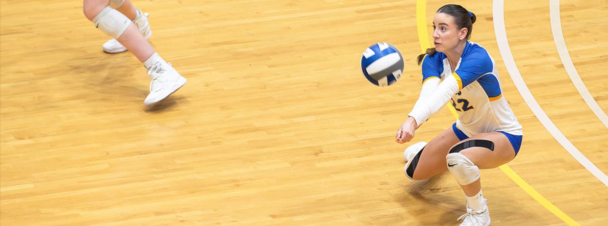 Laker Volleyball vs. Michigan Tech