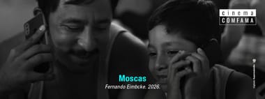 Moscas