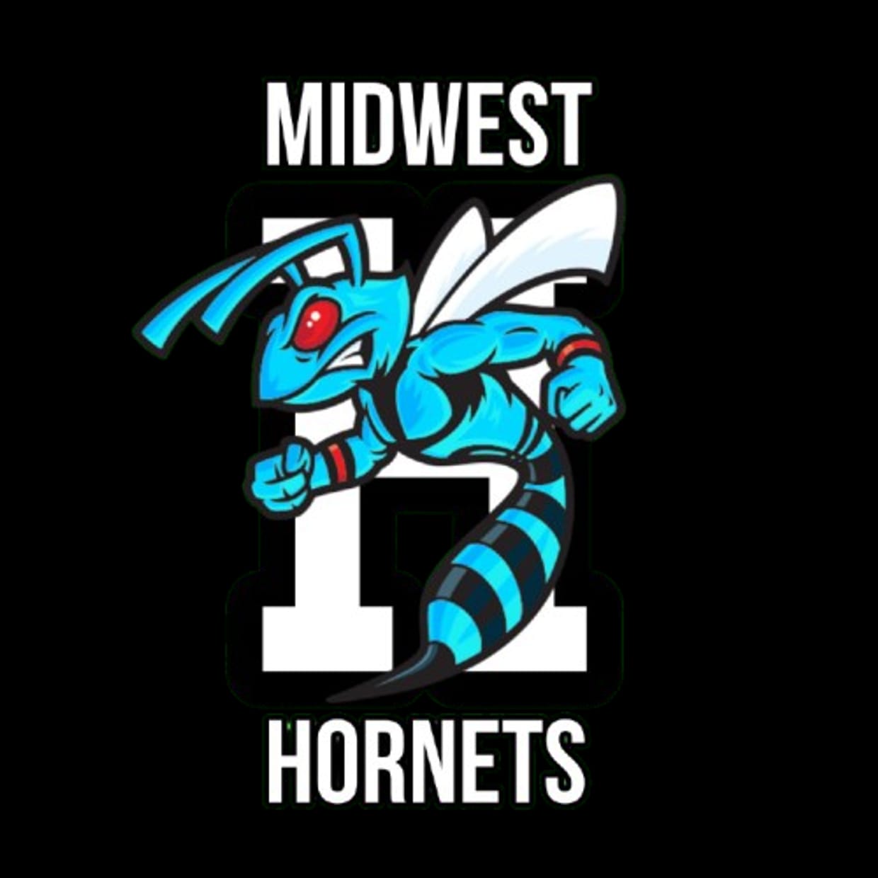 Midwest Hornets vs Motor City Dragons