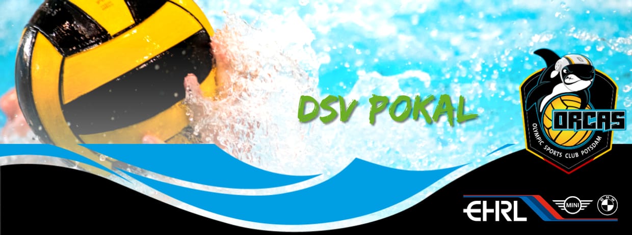 Deutscher Pokal (Viertelfinale) vs Waspo 98 Hannover