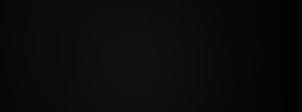 VI: Glanzlichter