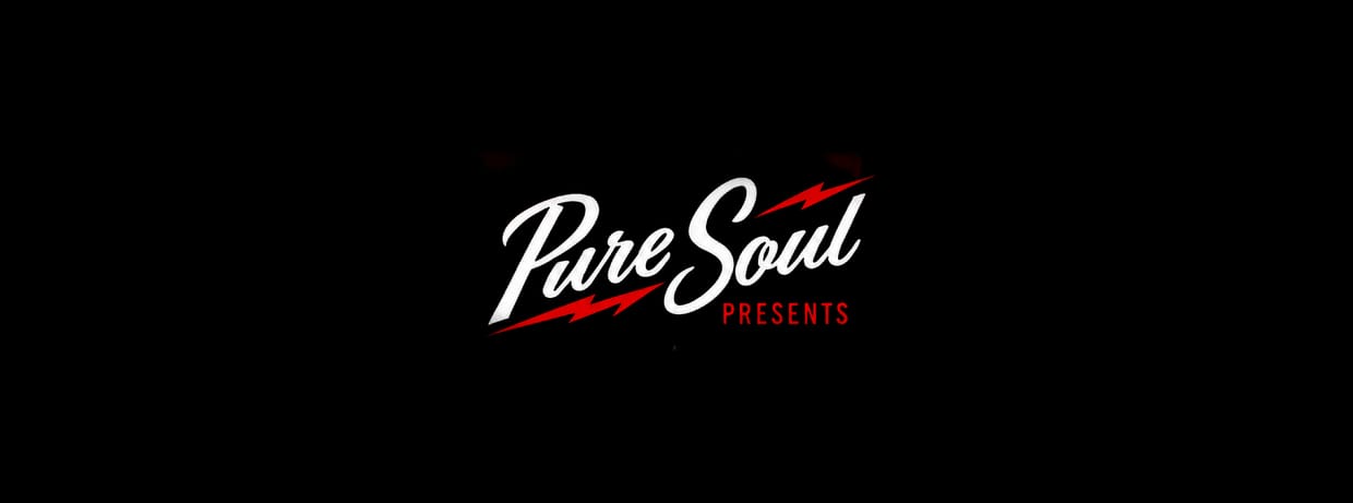 A Pure Soul Christmas