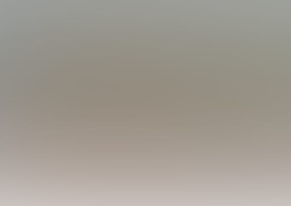 Kino: Feuerwehrmann Sam: Tierische Freunde